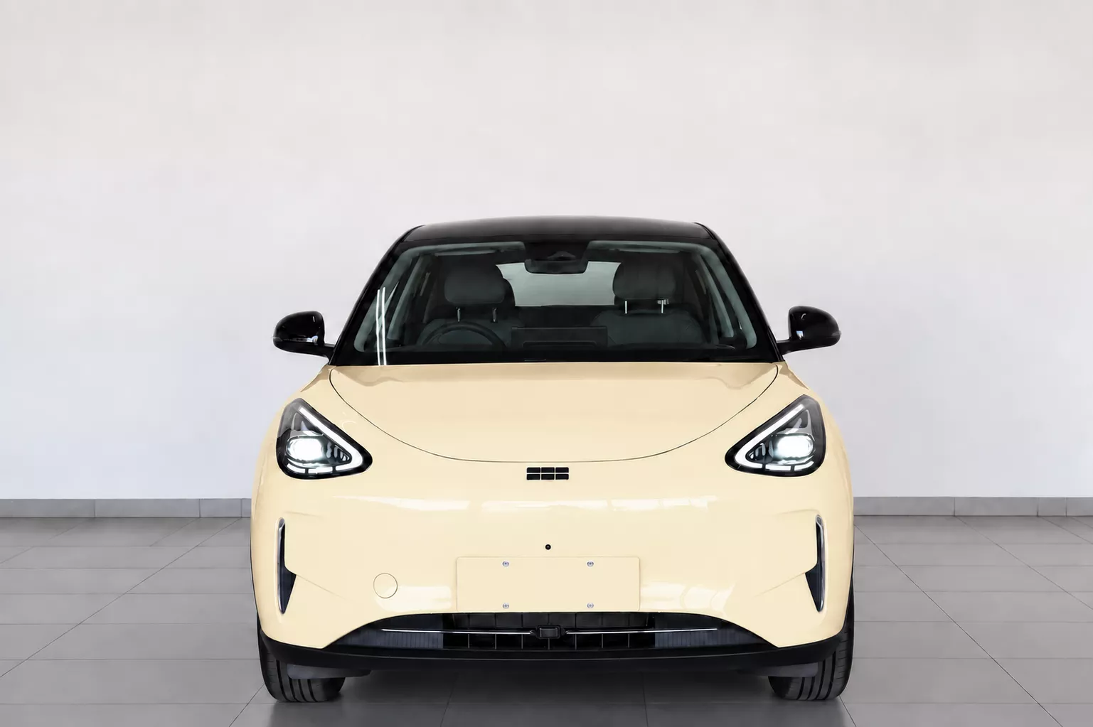 Vehicle Image for 2/3for Geely E2 Apex (automatic | electric)